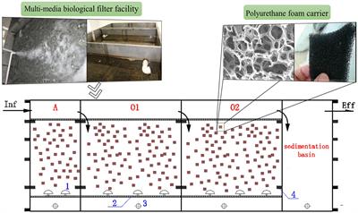 Microbial denitrification characteristics of typical decentralized wastewater treatment processes based on 16S rRNA sequencing